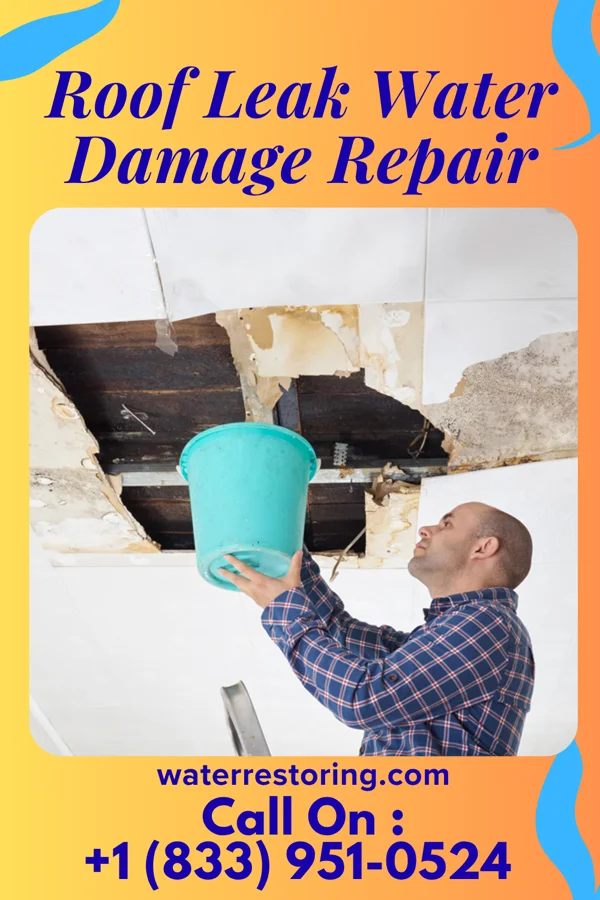 Roof Leak Water Damage Repair in Gardner, FL